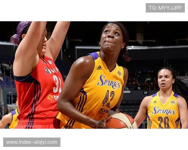 总决赛前瞻山猫王牌被一致看好强强对话或将提前上演